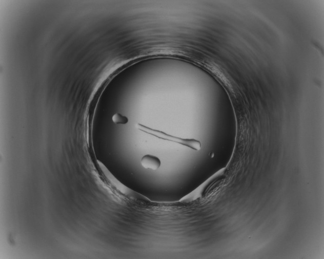 X0000097471132200802291304