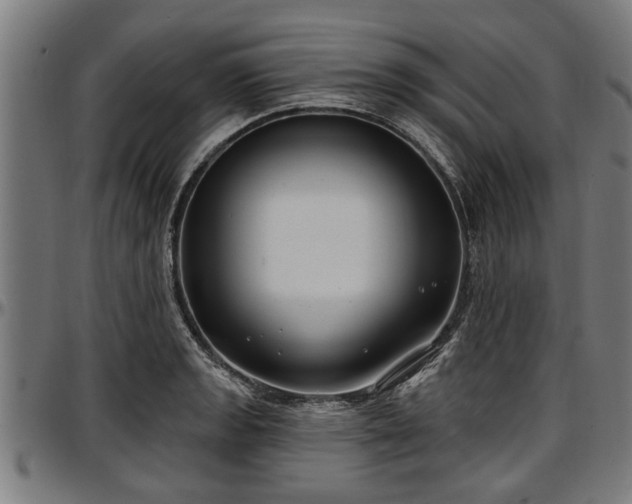 X0000097471133200802291304