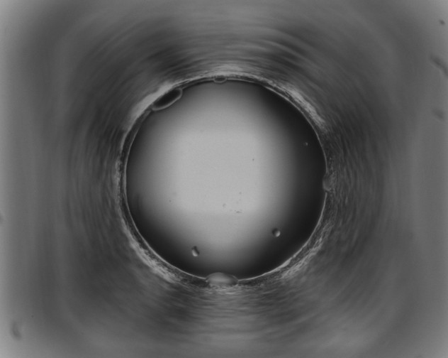 X0000097471134200802291304