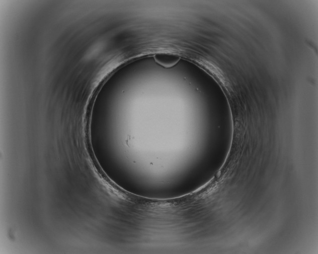 X0000097471135200802291304