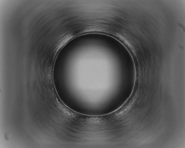 X0000097471137200802291305