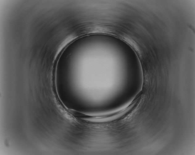 X0000097471138200802291305