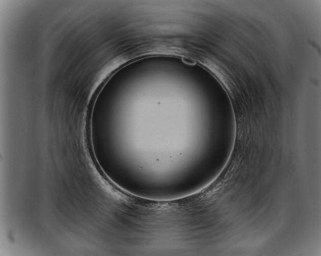 X0000097471139200802291305