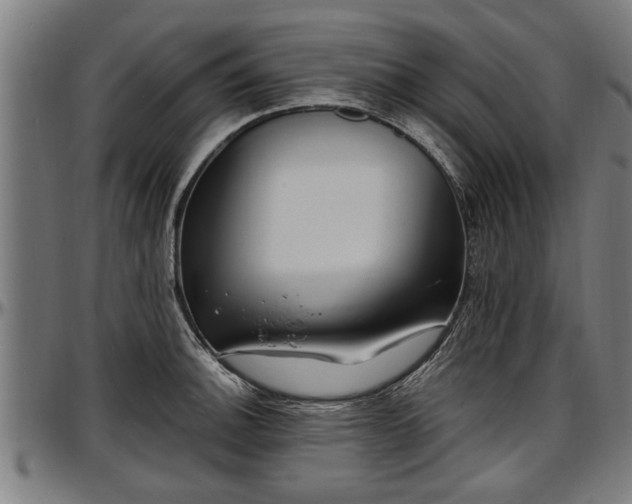 X0000097471140200802291305