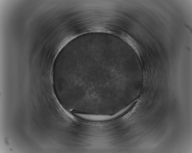 X0000097471141200802291305