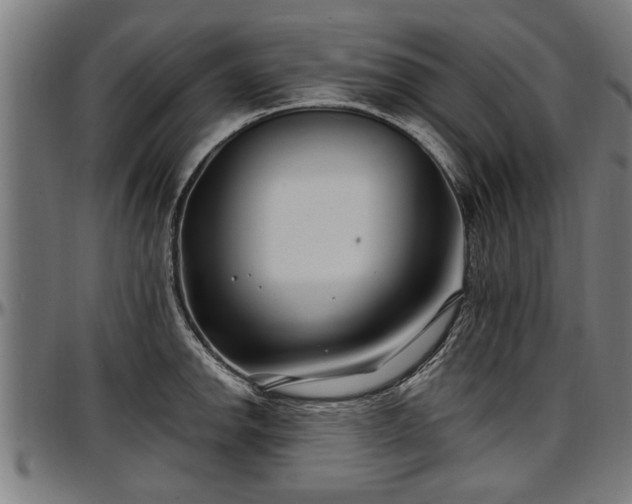X0000097471142200802291305