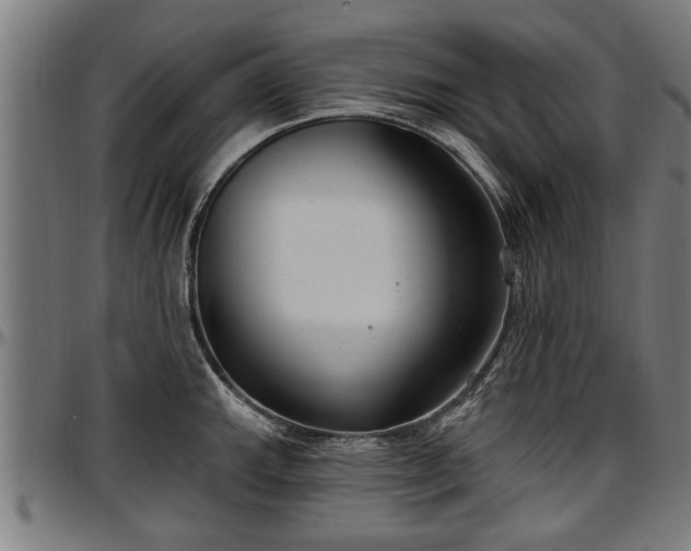 X0000097471143200802291305