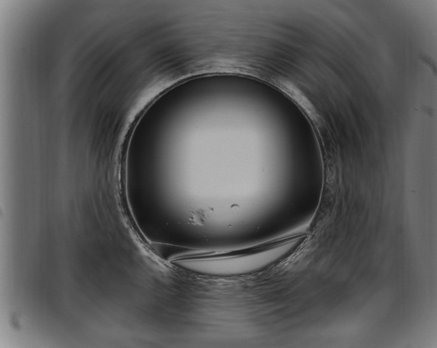 X0000097471144200802291305