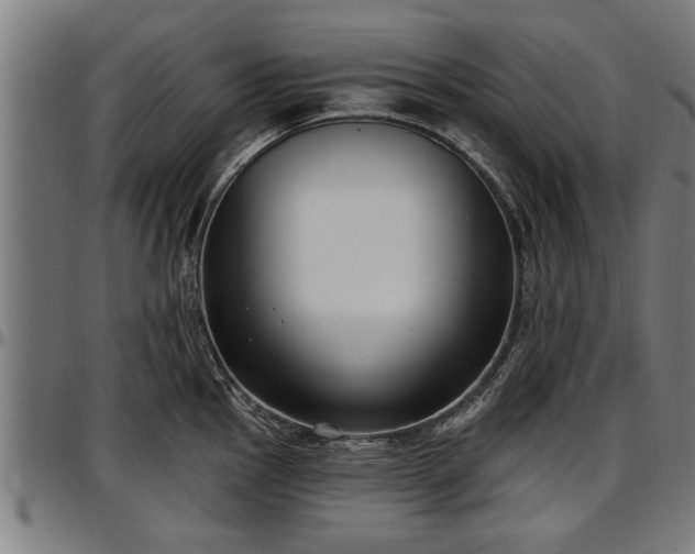 X0000097471145200802291305