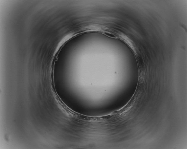 X0000097471146200802291305