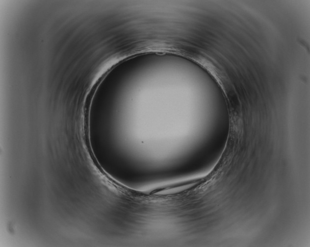 X0000097471147200802291305
