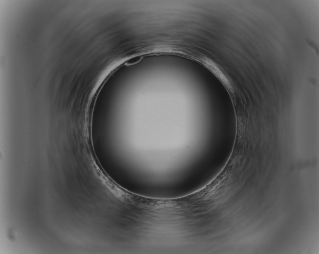 X0000097471148200802291305