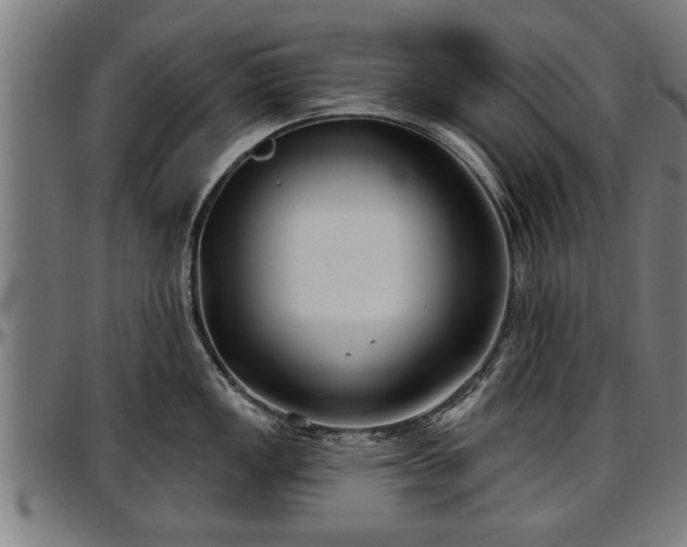 X0000097471149200802291305