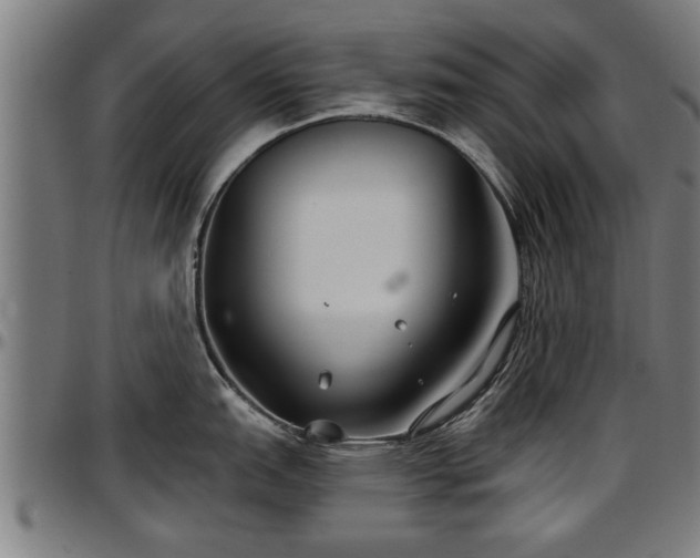 X0000097471151200802291305