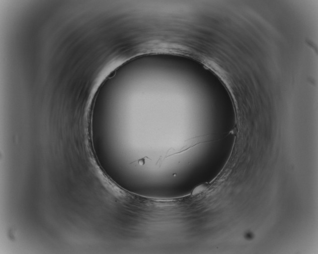 X0000097471152200802291305