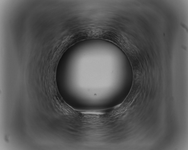 X0000097471153200802291304