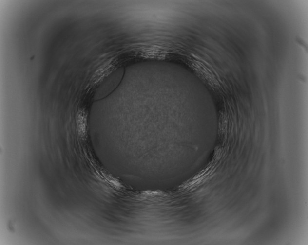 X0000097471154200802291304