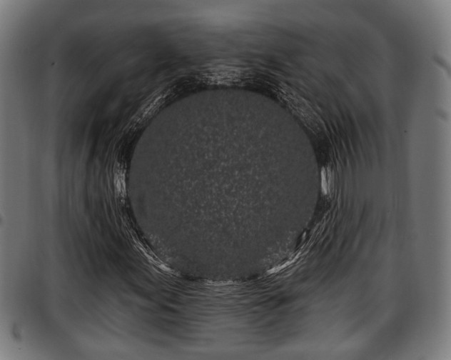 X0000097471155200802291304