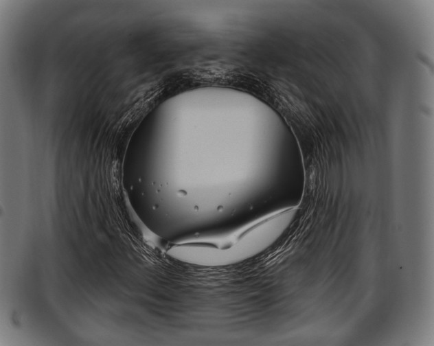 X0000097471156200802291304