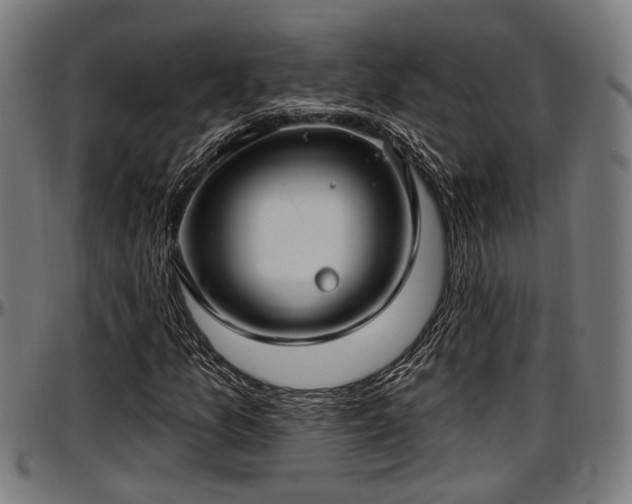 X0000097471157200802291304