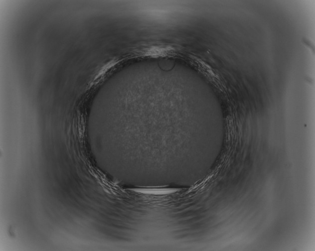 X0000097471158200802291304