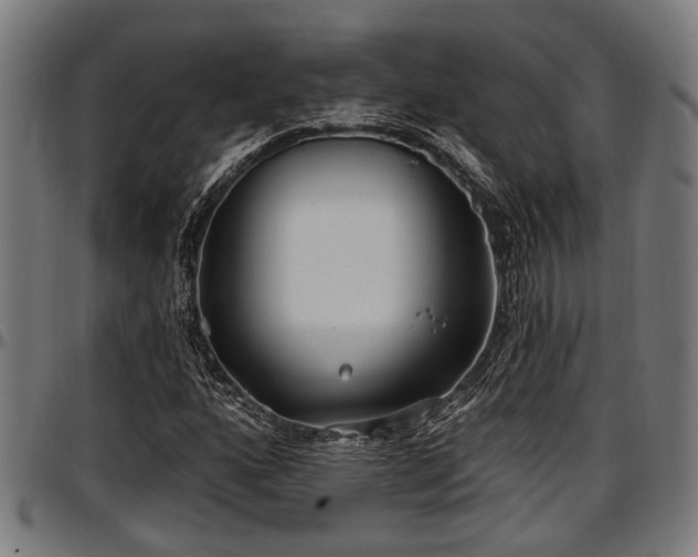 X0000097471160200802291304