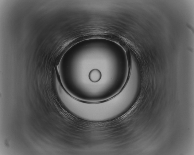 X0000097471161200802291304