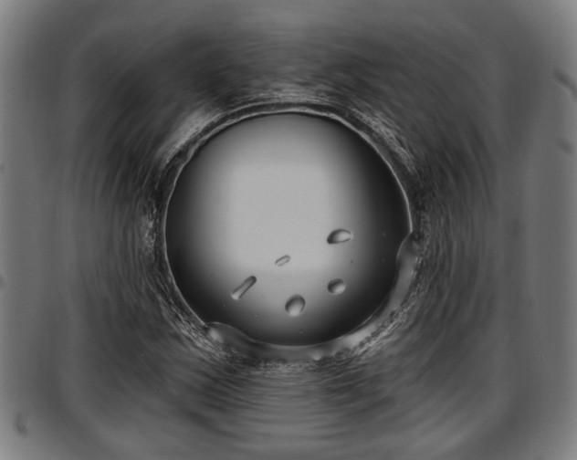 X0000097471163200802291304
