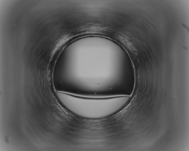 X0000097471164200802291304