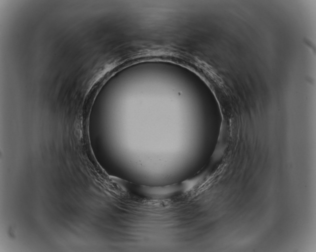 X0000097471165200802291304