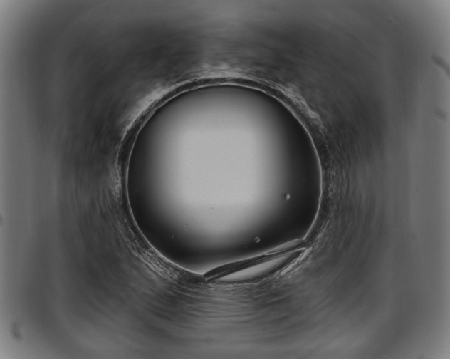 X0000097471167200802291304