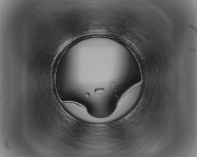 X0000097471168200802291304