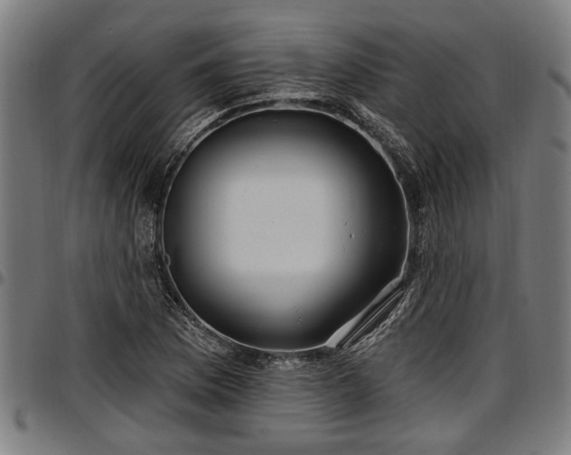 X0000097471169200802291304