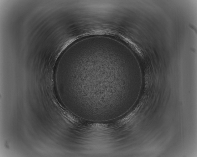 X0000097471170200802291304