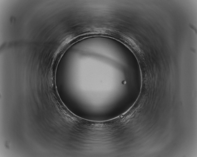 X0000097471172200802291304