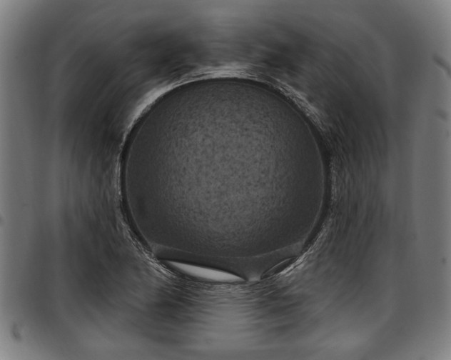 X0000097471174200802291304