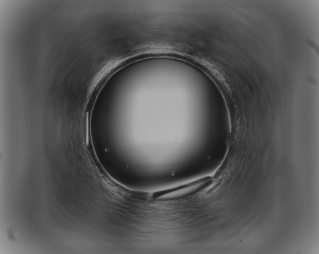 X0000097471175200802291304