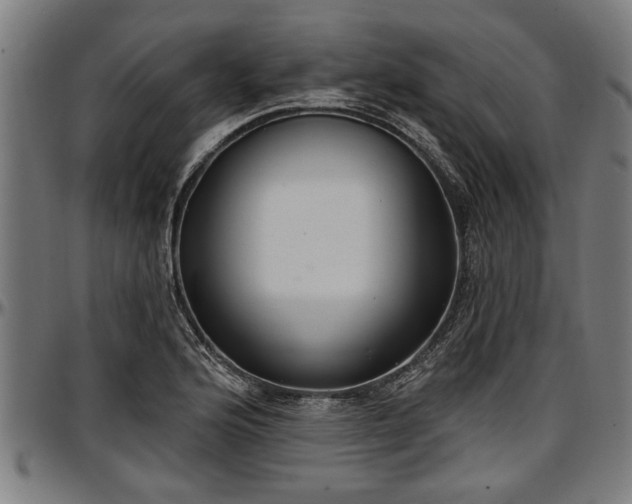 X0000097471176200802291304