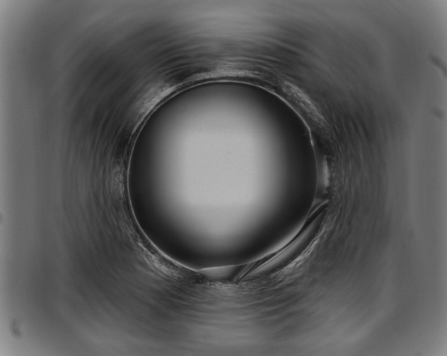 X0000097471177200802291304