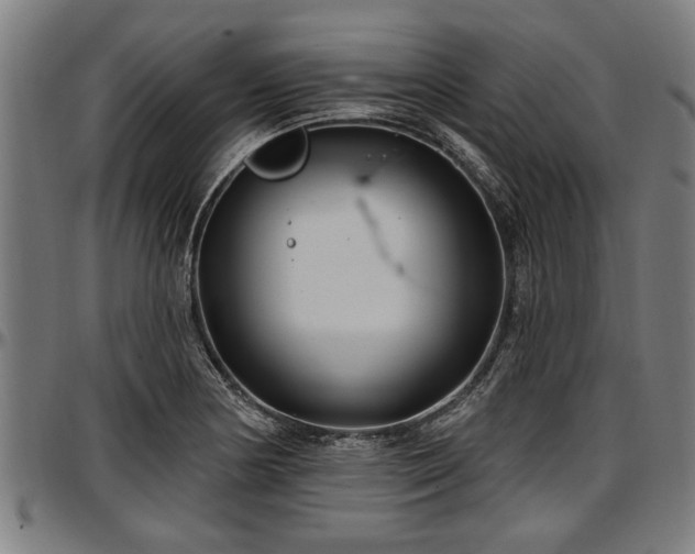 X0000097471178200802291304