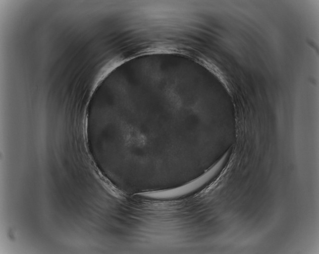X0000097471179200802291304
