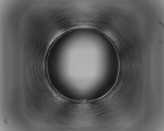 X0000097471181200802291304