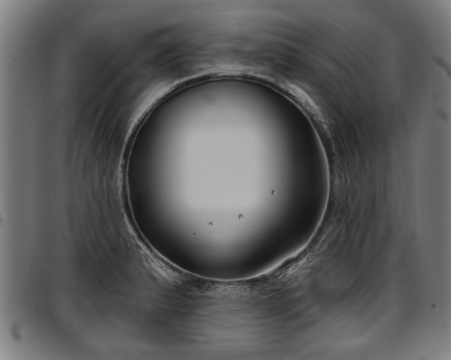 X0000097471183200802291304