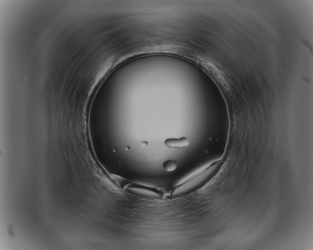X0000097471184200802291304