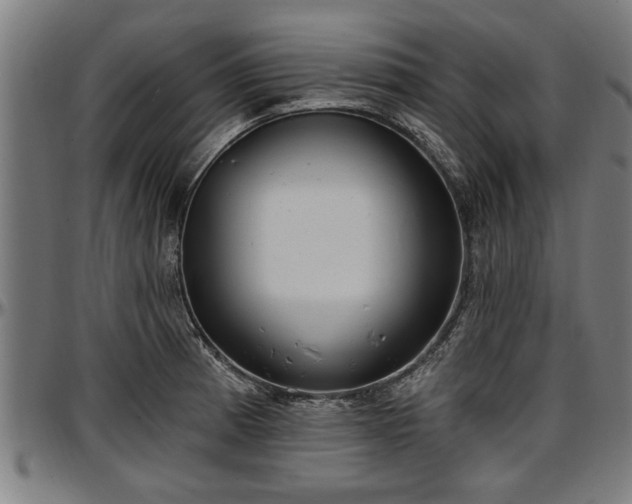 X0000097471185200802291304