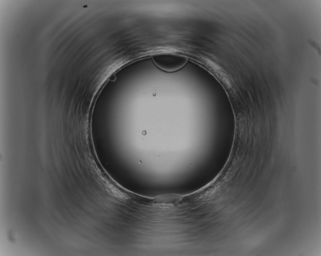 X0000097471186200802291304