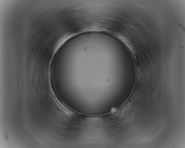 X0000097471187200802291304