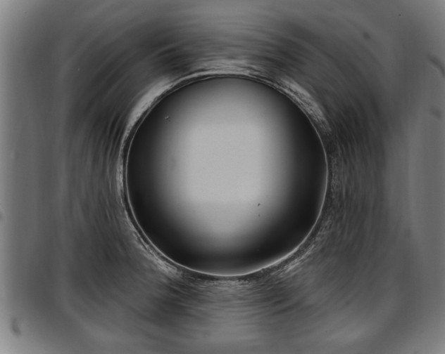 X0000097471188200802291304