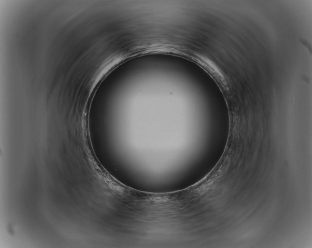 X0000097471190200802291304
