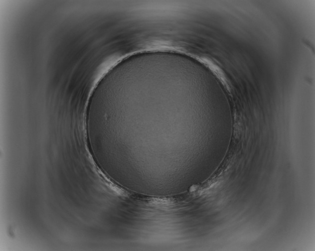 X0000097471191200802291304